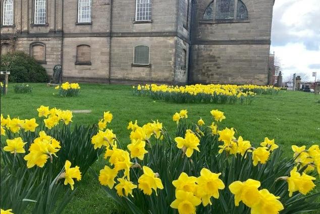 The daffodils are out in force at St John’s Church, Wakefield, shared by Alan Barnes.