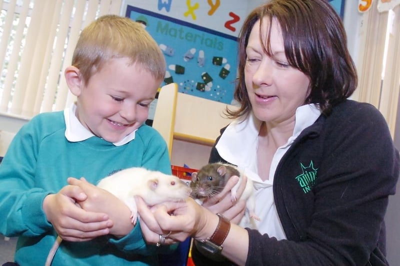 Horbury Bridge J and I School. Joshua Whitehead (5) with Joe Speight from Pets In Tuition. The rats are Called Starsky and Hutch.