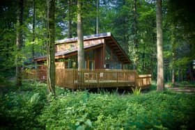 One of the luxurious forest cabins.Image: Forest Holidays