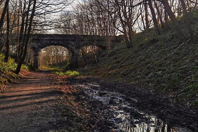 The viaducts are hidden within Wakefield's Newmillerdam Country Park.