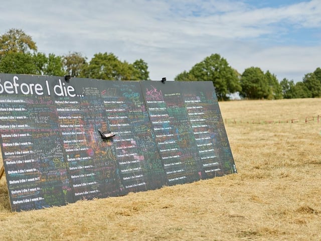 The festival featured music, workshops, crafts and environmental activities