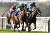 The Good Biscuit, ridden by Jason Hart, gets up for a third win at Pontefract in 2026. Picture: Steve Davies/sdphotos