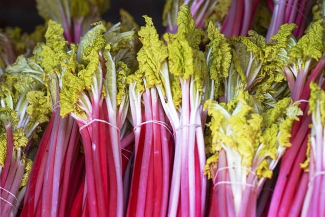 Wakefield Rhubarb Festival was back with a bang in the city centre at the weekend. (Pictures Scott Merrylees)