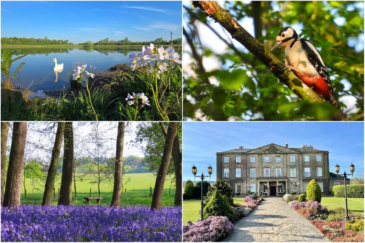Sceanery Spring Reader pictures: Nine spectacular photos of the stunning spring scenery ...