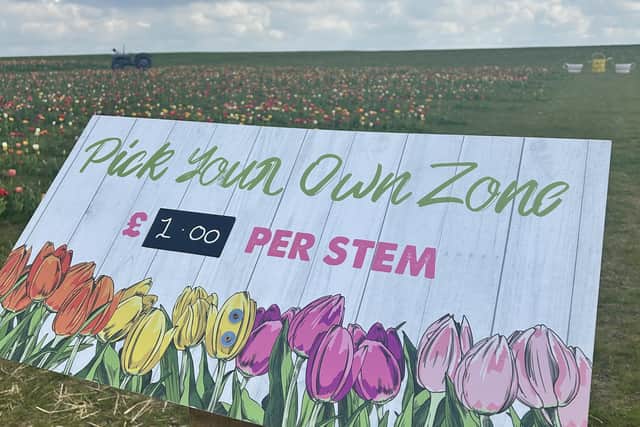 Visitors can pick their own tulip bouquet in the 'Pick Your Own Zone'.