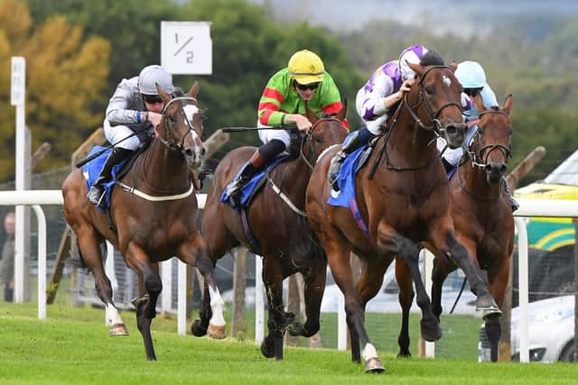 Quantum Impact charges ahead for victory at Pontefract. Picture: Alan Wright