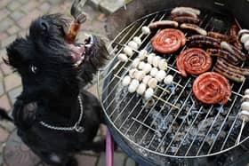 The hidden hazards of your barbecue food that can be fatal to dogs (Getty Images)