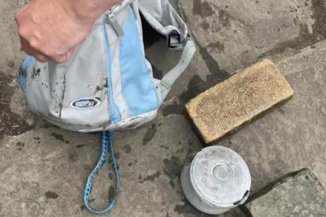 Dog deliberately drowned in Wakefield river with weights - RSPCA ...