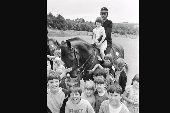 1985 - Police horses at Woolley Colliery School.