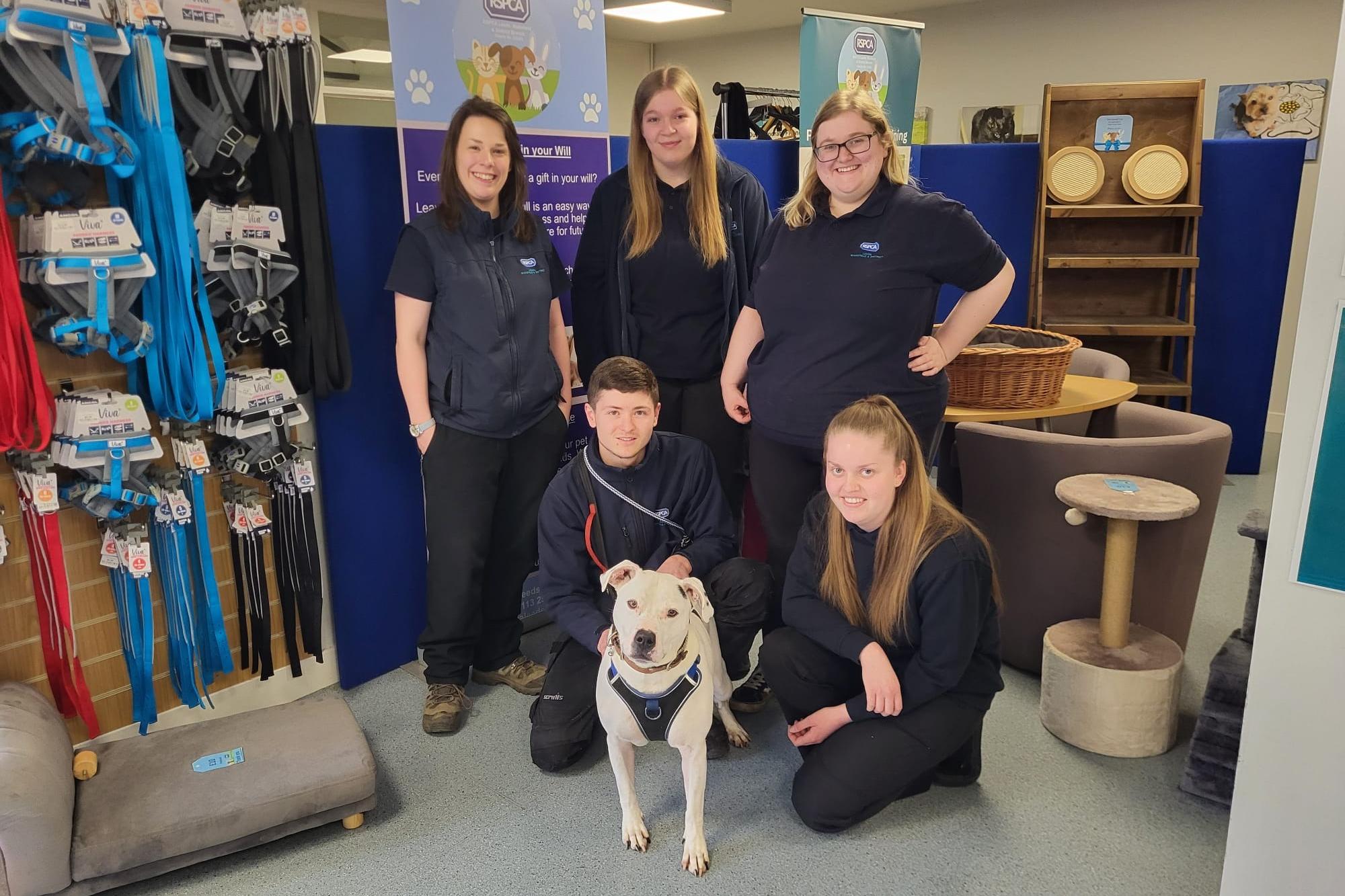 Zeus: Loveable dog who spent over 500 days at the RSPCA Leeds and Wakefield centre finally adopted