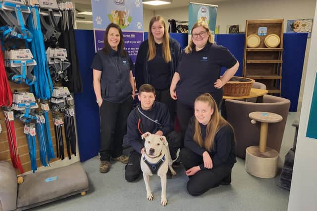 After 533 days at the RSPCA Leeds & Wakefield's animal centre, Zeus the dog has been adopted.