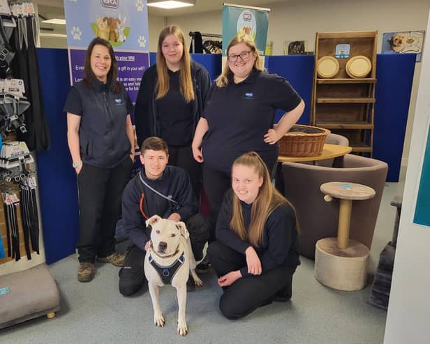 After 533 days at the RSPCA Leeds & Wakefield's animal centre, Zeus the dog has been adopted.