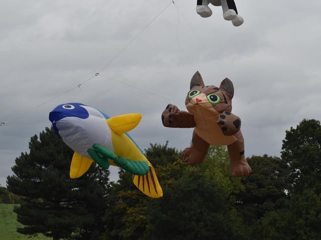 The cat kite cheekily chased the fish kite.