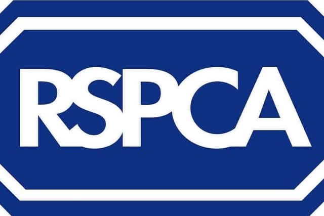 The RSPCA has issued an appeal to find the owner of a dog whose emaciated body was found abandoned near Pontefract.