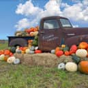 Known as the largest pumpkin festival in the UK, it is no surprise that Farmer Copley’s comes out on top for pumpkin picking