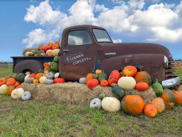 Known as the largest pumpkin festival in the UK, it is no surprise that Farmer Copley’s comes out on top for pumpkin picking