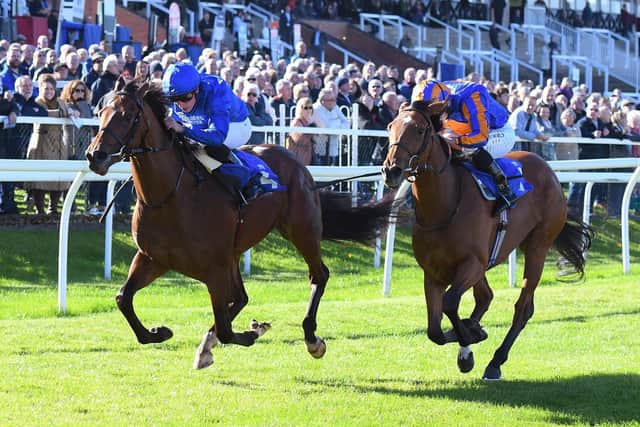Local Dynasty forges ahead under newly crowned champion jockey William Buick to win the Listed EBF Silver Tankard Stakes at Pontefract. Picture: Alan Wright