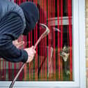 In West Yorkshire, 727 dogs were reported stolen between 2019 and 2023.