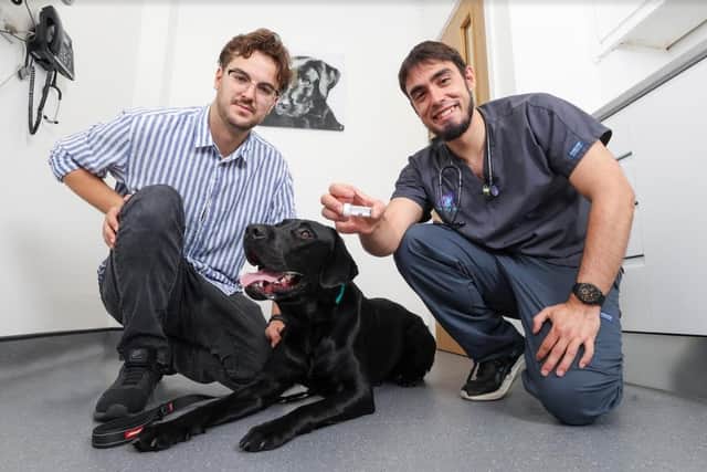 Connor Sweeting, left, and Dr Jose Lopez holding the button battery he surgically removed from Trevor during an emergency operation. Photo: Chantry Vets