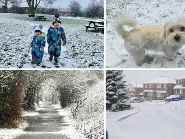 Just some of the photos shared by you enjoying the snow!