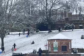Children enjoying sledding in the snow at Friarwood Valley Gardens.
