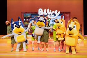 The Olivier Award nominated Bluey’s Big Play to visit Connexin in Hull.