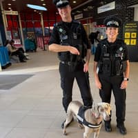 Arrests made as drugs dog Roxy sniffs out offenders at Wakefield Westgate station