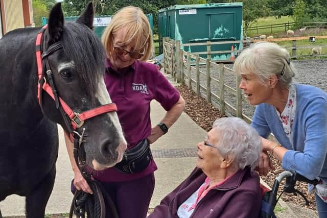 People with dementia got to experience the joys of being around horses at Wakefield RDA.