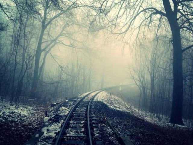 A Halloween Spooktacular at Pugneys Light Railway will take place between October 31 and November 1. Train journeys will run at 15 minute intervals from 4pm to 7.30pm, taking passengers of all ages on a 10-minute journey through the spooky woods at the park. Tickets can be booked online at: https://experiencewakefield.co.uk/event/halloween-spooktacular-pugneys-light-railway/