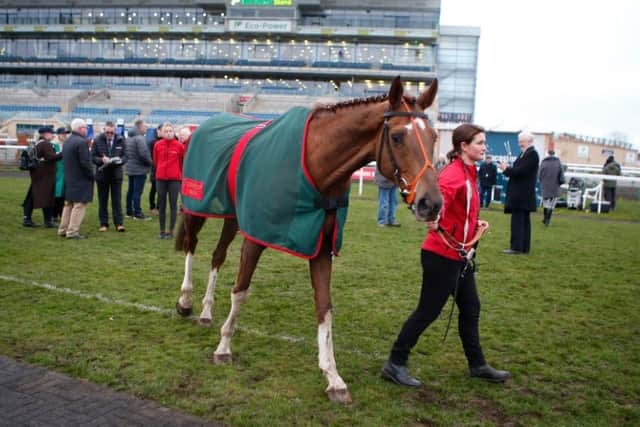 Beep Beep Burrow, a six-year-old chestnut gelding who was named by Rob’s family, after his Road Runner-inspired nickname at Leeds Rhinos.