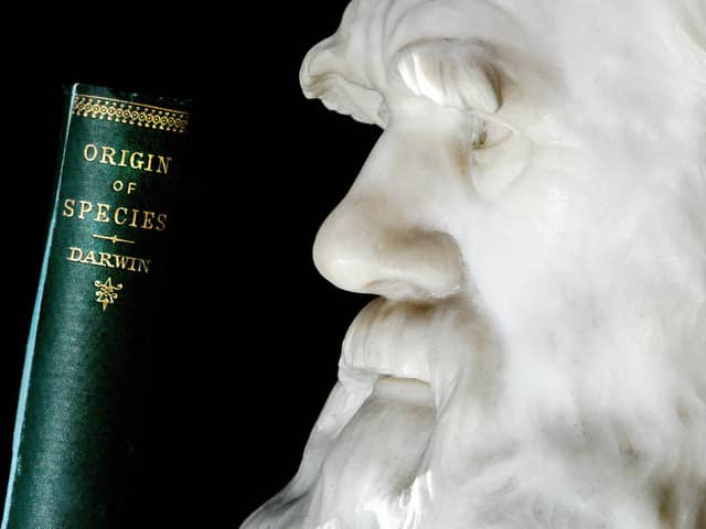 A copy of Darwin's book the "Origin of Species" is pictured in front of a life size stone bust of Charles Darwin at London's Natural History Museum. 'The Kohler Darwin Collection' is the largest and most comprehensive collection of books by and about Charles Darwin in the world, and is also the biggest purchase in the Natural History Museum's history. Photo: SHAUN CURRY/AFP via Getty Images
