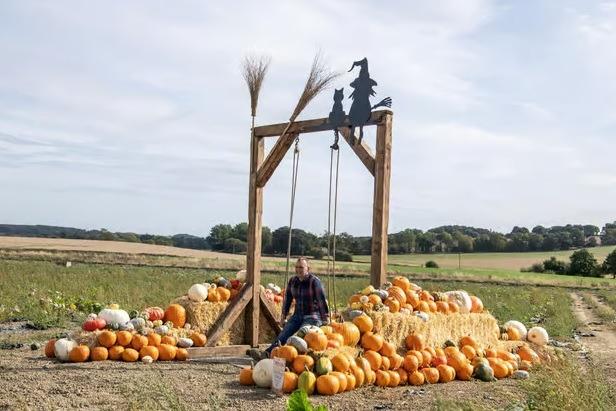 Ravensknowle Farm, Pontefract Road, Pontefract WF7 5AF. Farmer Copleys Pumpkin Festival features more than 300,000 homegrown pumpkins across 40 varieties, alongside tractor rides, live entertainment, family activities, fairground rides, food and drink, and seasonal photo opportunities. Taking place at Ravensknowle Farm, Pontefract, the festival runs until November 1 and offers a full day out for visitors of all ages.Cost: from £6.70