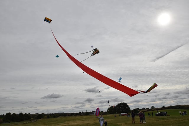 Professional and amateur kite-flyers creations took to the sky.