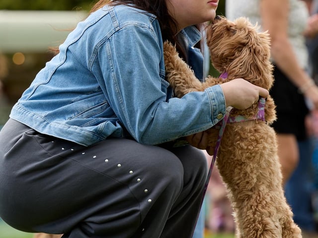 The event was ran by RSPCA staff and volunteers.