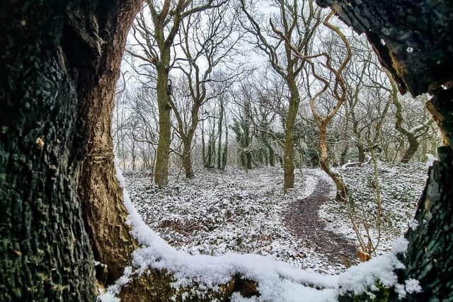Snowy Ryhill, taken by Sue Billcliffe.
