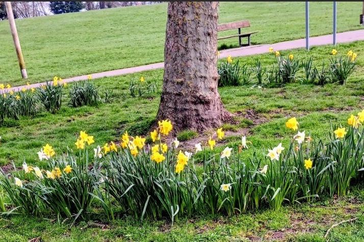 Green Park, Ossett, shared by Pam Peach.
