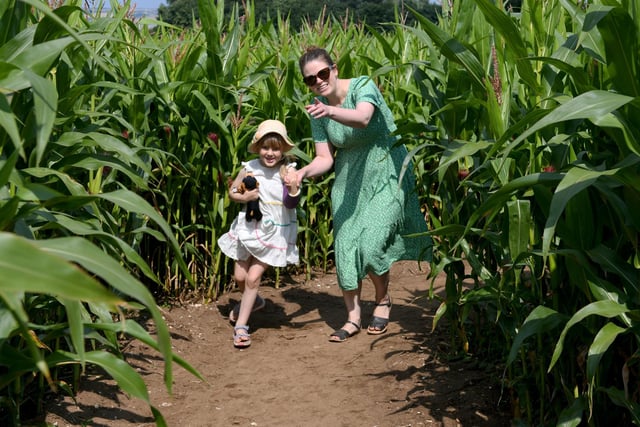 The Great Ryedale Maze, Friday, July 15 to Sunday, September 4. Returning to North Yorkshire for its third year this summer, The Great Ryedale Maze offers a field full of fun for all ages. Located in Sherburn, midway between Scarborough and Malton at the foot of the Yorkshire Wolds, the popular attraction will open for summer holidays. It promises a great day out in the heart of the countryside for adults, teenagers and children, offering two mazes, vintage funfair, football darts and Big Top with live entertainment for families. There will also be a range of hot and cold food and drinks to cater for all tastes, served from fully-licensed Cabin Café.