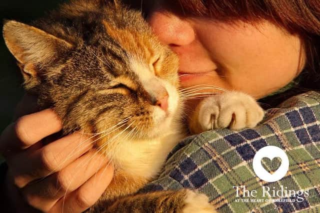 The Ridings at Wakefield has launched an appeal to help support those who cannot afford to look after their pet amid the cost of living crisis