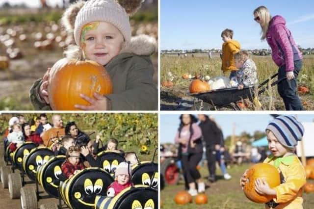 A fun day out for all the family this October. PHOTOS: SCOTT MERRYLEES.