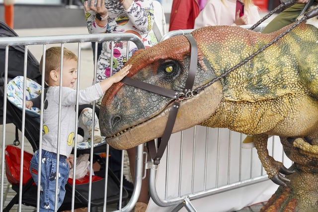 Children and their families got to meet and greet the dinosaurs on both days.