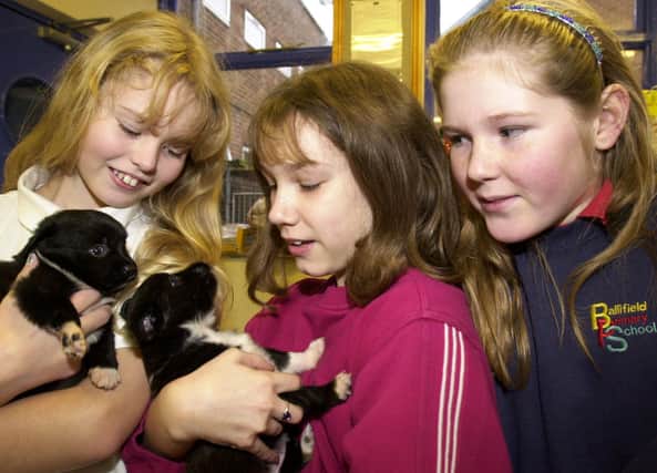 Natasha Jardine, Lucy Ismay and Vicky Mansfield with two puppies at the RSPCA centre, Sheffield in December 2000. The girls had raised money by taking part in a sponsored walk