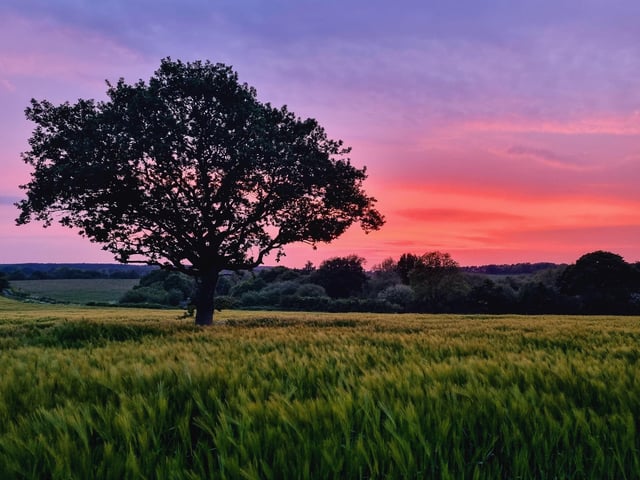Sue Billcliffe shared this stunning picture of a sunset over Wintersett.