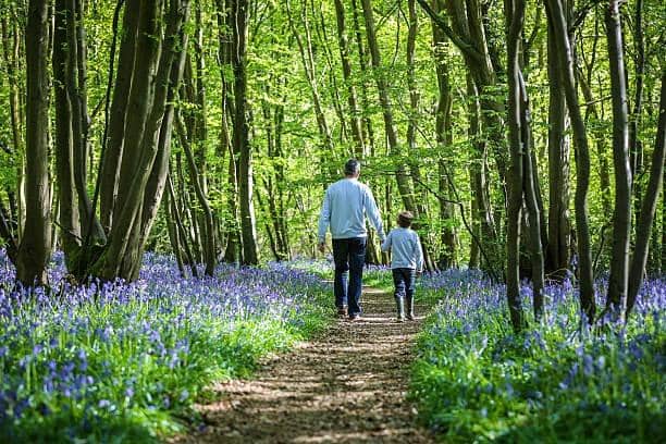 Enjoy the great outdoors at one of these Wakefield hotspots this spring.