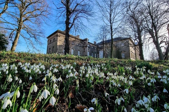 Sue Billcliffe shared a photo of the gorgeous scenery at Nostell Priory.