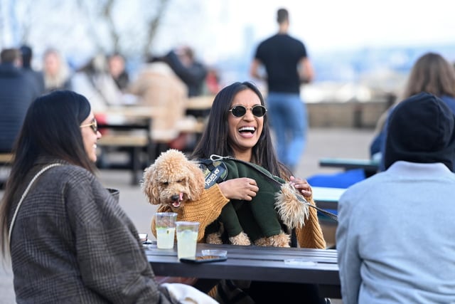 Lapping up the great outdoors. Beer gardens at dog friendly bars are a big draw for pet owners this summer. Photo by Kate Green/Getty Images
