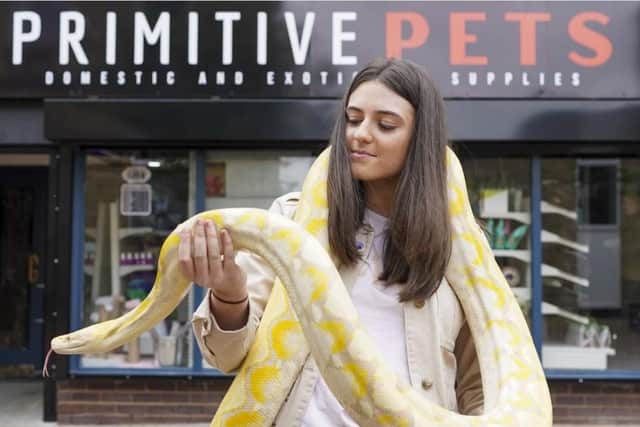 Primitive Pets is now open for all your exotic pet needs!