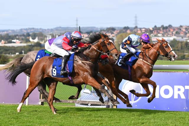 Mount King sees off stable companion Tasever - just. Photo by Alan Wright
