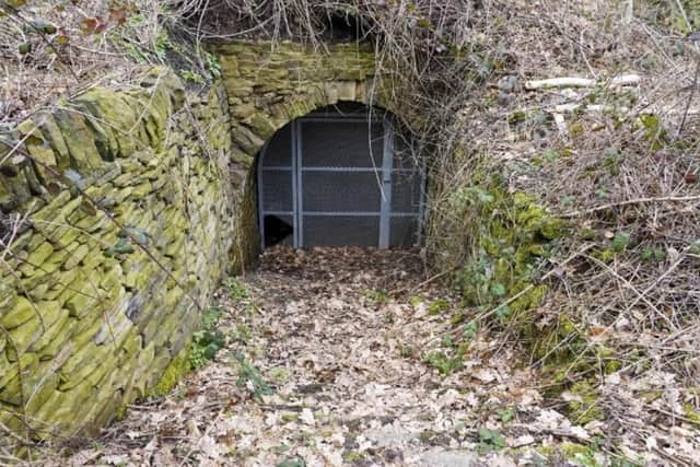 Entrance to the Grade II listed 18th century Flockton waggonway tunnel