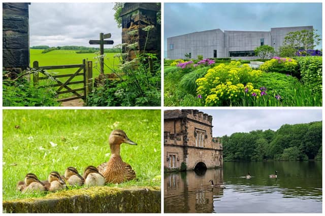Here are some of the best photos of Wakefield, taken by readers.