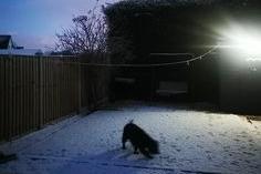Harry Broadbent sent in a photo of his dog enjoying the snow.